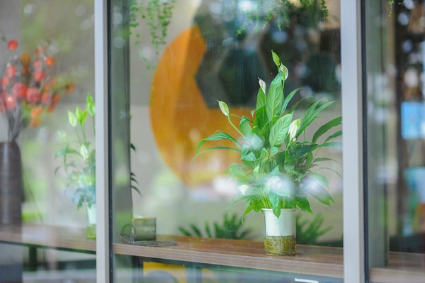 Rénovation d'ampleur : réussir une transformation durable et efficace